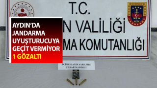 Jandarma uyuşturucuya geçit vermiyor: 1 gözaltı