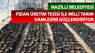 Nazilli Belediyesi fidan üretim tesisi ile milli tarım hamlesini güçlendiriyor