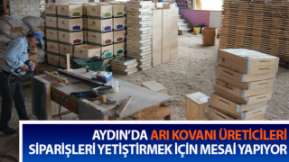 Yağışlar arıcıları, arıcılar da kovancıları coşturdu