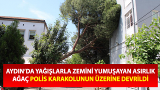 Asırlık ağaç polis karakolunun üzerine devrildi