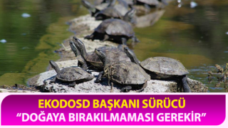 EKODOSD’tan “istilacı tür” uyarısı