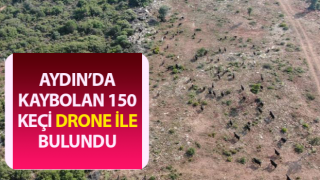 Firari keçiler drone ile bulundu