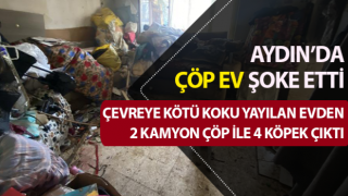 Çevreye kötü koku yayılan evden 2 kamyon çöp ile 4 köpek çıktı