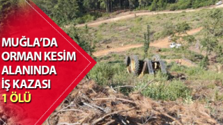 Muğla’da iş kazası: 1 ölü