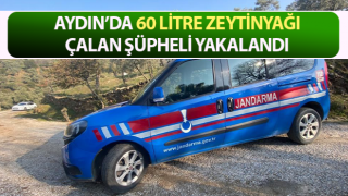 Zeytinyağı hırsızı jandarmadan kaçamadı