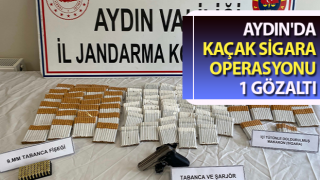 Aydın'da kaçak sigara operasyonu: 1 gözaltı