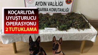 Aydın'da uyuşturucu operasyonu