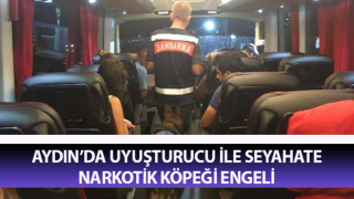 Uyuşturucu ile seyahate narkotik köpeği engeli