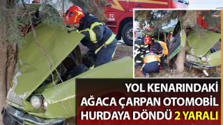Denizli'de otomobil ağaca çarptı: 2 yaralı