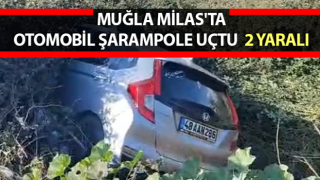 Muğla'da otomobil şarampole uçtu: 2 yaralı