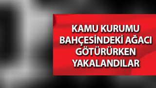 Nazilli’de hırsızlık şüphelileri yakalandı