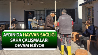 Aydın’da hayvan sağlığı saha çalışmaları sürüyor