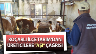 Koçarlı İlçe Tarım’dan üreticilere “aşı” çağrısı