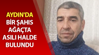 Ağaçta asılı halde bulundu