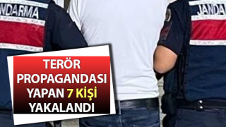 Aydın’da 7 şüpheli şahıs yakalandı