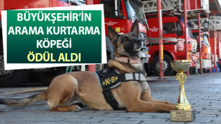 Büyükşehir’in arama kurtarma köpeği ödül aldı