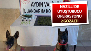 Nazilli'de uyuşturucu operasyonu