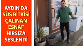 Saksıdaki süs bitkisini kökleyip, poşete koyup götürdü