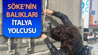 Söke’nin balıkları, İtalya yolcusu