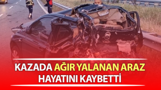Aydın-İzmir Otoyolu'ndaki kazada ağır yalanan Araz hayatını kaybetti