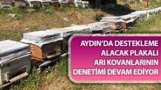 Aydın’da destekleme alacak plakalı arı kovanlarının denetimi sürüyor