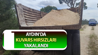 Aydın’da kuvars hırsızları yakalandı