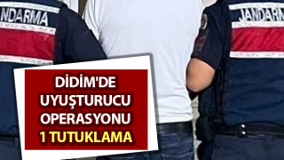 Aydın’da uyuşturucu operasyonu