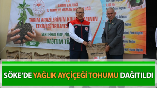 Aydın'da yağlık ayçiçeği tohumu dağıtıldı