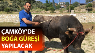 Çamköy’de boğa güreşi yapılacak