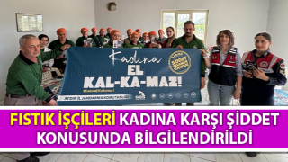 Çine’de jandarma ekipleri KADES uygulamasını tanıttı