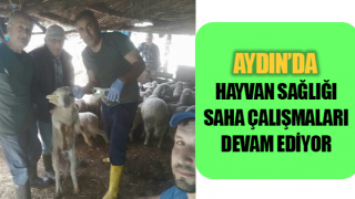 Efeler’de küçükbaş hayvanlar aşılandı