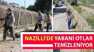Nazilli'de yabani otları temizlik çalışmaları sürüyor