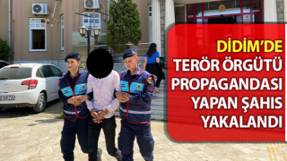 Terör örgütü propagandası yapan şahıs yakalandı
