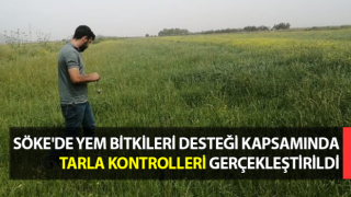 Yem bitkileri desteği kapsamında tarla kontrolleri yapıldı