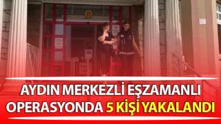 Aydın merkezli eşzamanlı operasyon