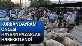 Aydın'da kurbanlıklar pazara indi