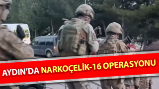 Aydın’da Narkoçelik-16 operasyonu