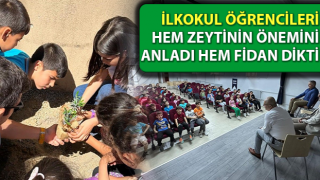 Çine’de zeytinin önemine dikkat çekildi