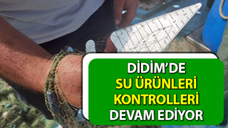 Didim’de su ürünleri kontrolleri sürüyor