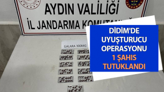 Didim'de uyuşturucu operasyonu: 1 şahıs tutuklandı