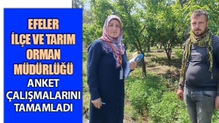 Efeler İlçe ve Tarım Orman Müdürlüğü anket çalışmalarını tamamladı