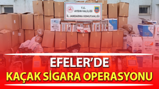 Efeler’de kaçak sigara operasyonu