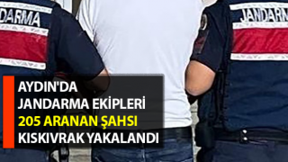 Jandarma ekipleri 205 aranan şahsı kıskıvrak yakalandı