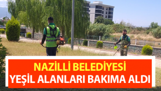 Nazilli Belediyesi, yeşil alanları bakıma aldı