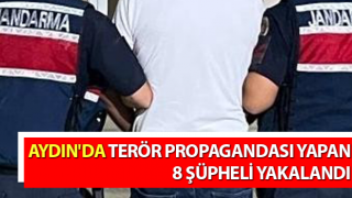 Terör propagandası yapan 8 kişi yakalandı