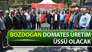 Üreticilere 30 bin domates fidesi dağıtıldı