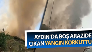 Boş arazide çıkan yangın korkuttu