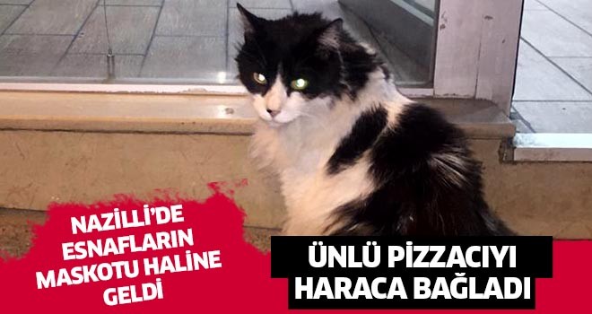 Garfield, Nazilli'de esnafın maskotu oldu
