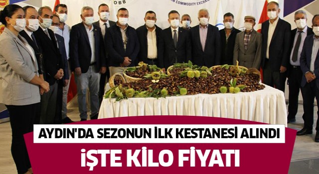 Aydın'da sezonun ilk kestanesi alındı