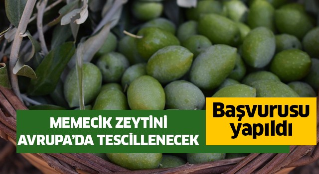 Aydın Memecik Zeytini, Avrupa’da tescillenecek